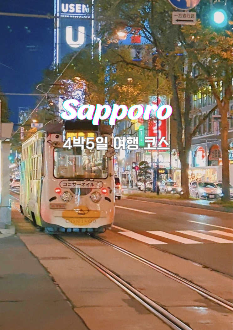  삿포로 4박5일 부모님과 자유여행 일정 명소 코스 이동방법