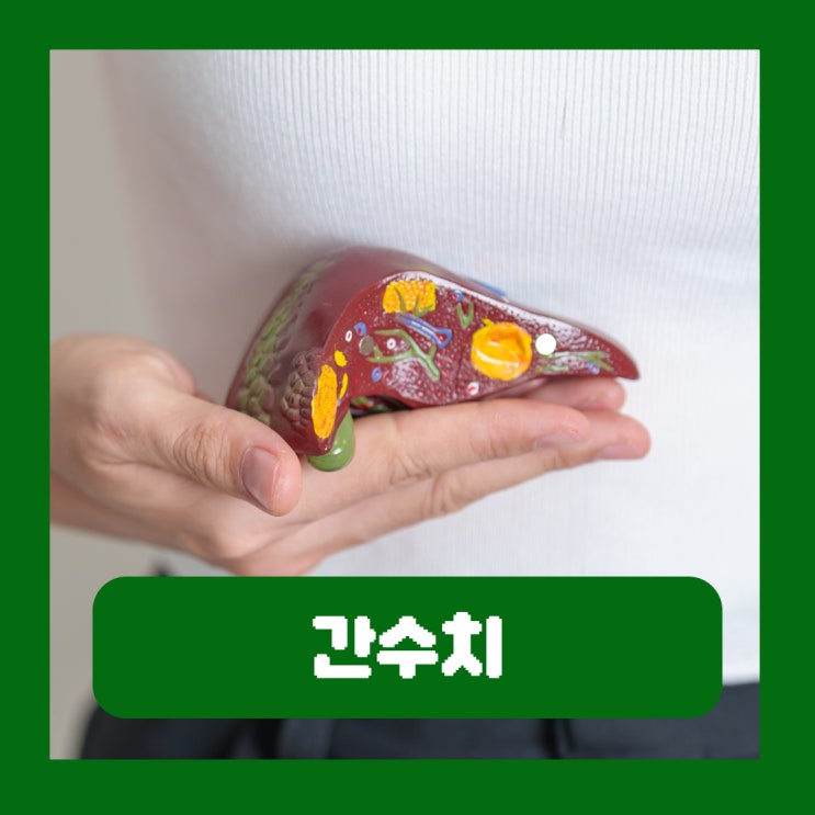  AST ALT 감마GTP 간수치 정상범위 높은이유 뜻