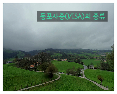  동포 사증(VISA)의 종류