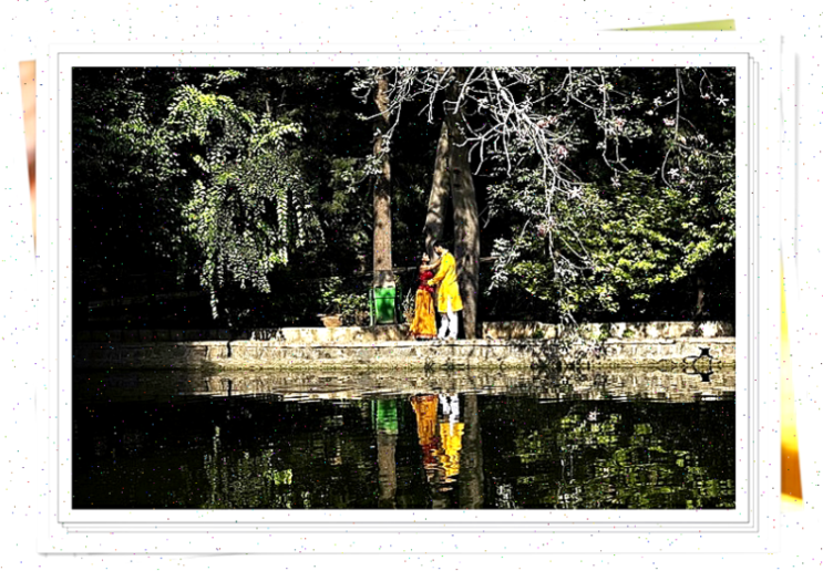  녹용분골의 영양소 함유량