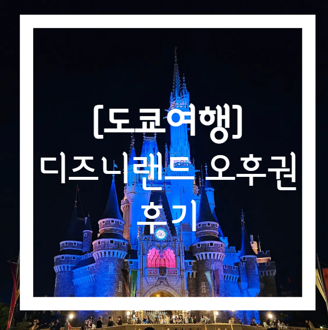  [도쿄여행] 첫째날 나리타 공항 입국 후 디즈니랜드 오후권 DPA 사용 후기