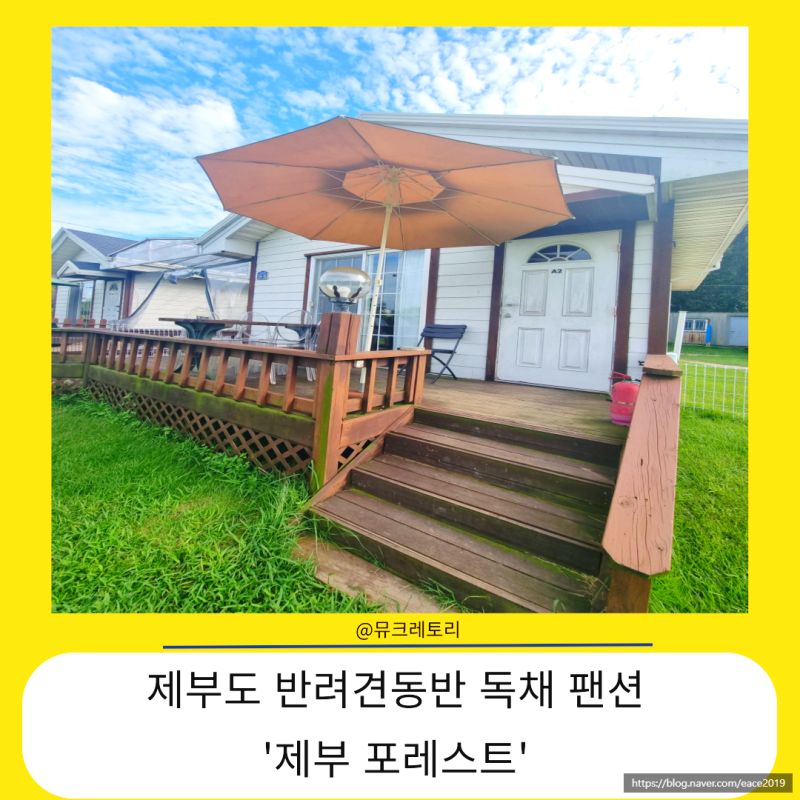 사진 5