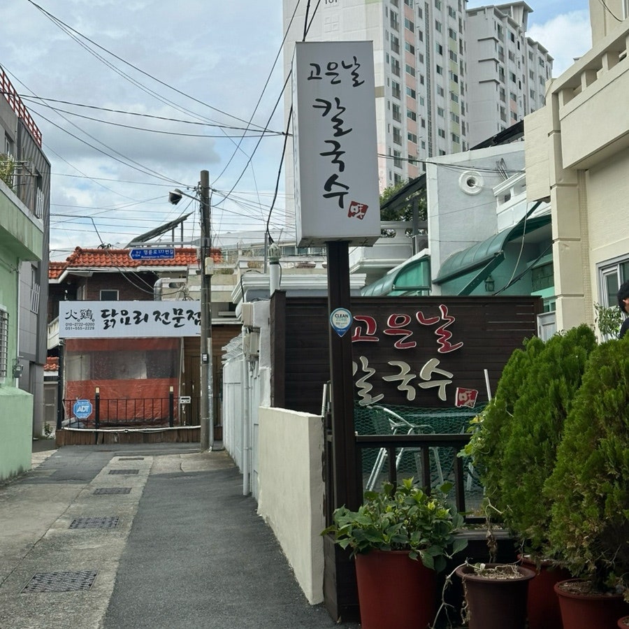 고은날칼국수 사진 2
