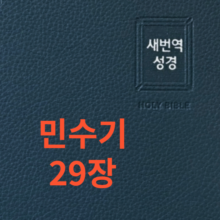민수기 29장 민수기 29장