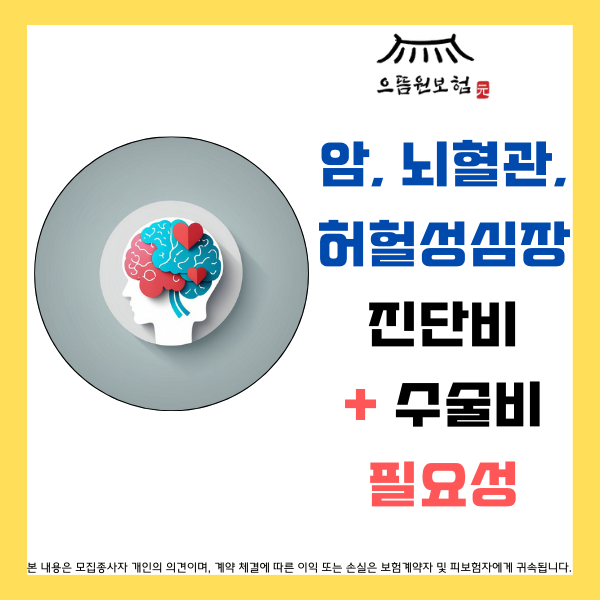  3대 질병 (암, 뇌혈관질환, 허혈성심장질환) 보험의 진단비와 수술비를 준비해야 하는 이유