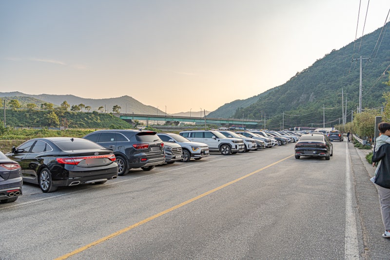 사진 9