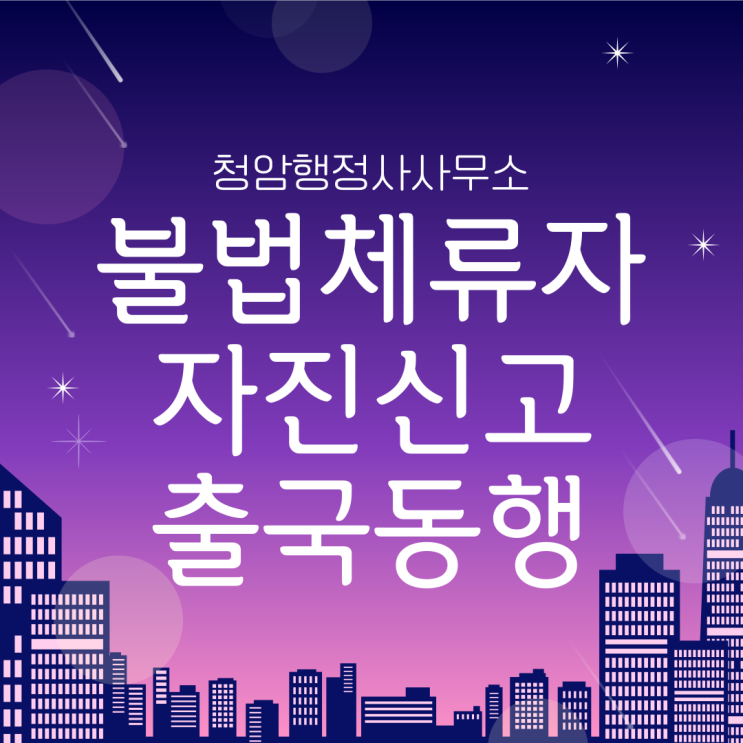  불법체류자/불체자 자진신고 후 인천공항 출국 동행 행정사