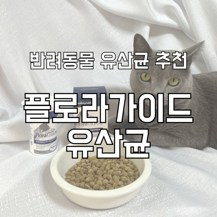  고양이 변비 해결 플로라가이드 반려동물 유산균 추천