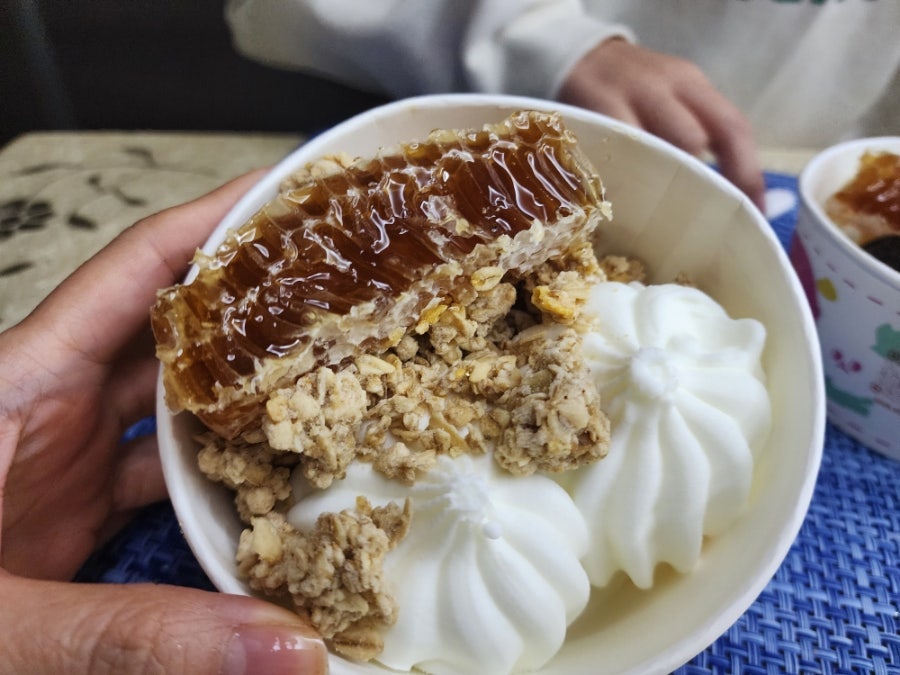 요거트아이스크림의정석 일산마두점 사진 5