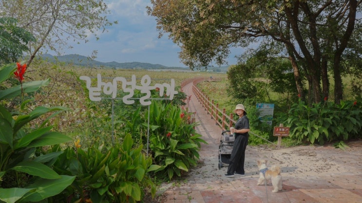  나주 우습제, 선선한 가을에 반려견과 함께 산책하기 좋은 곳
