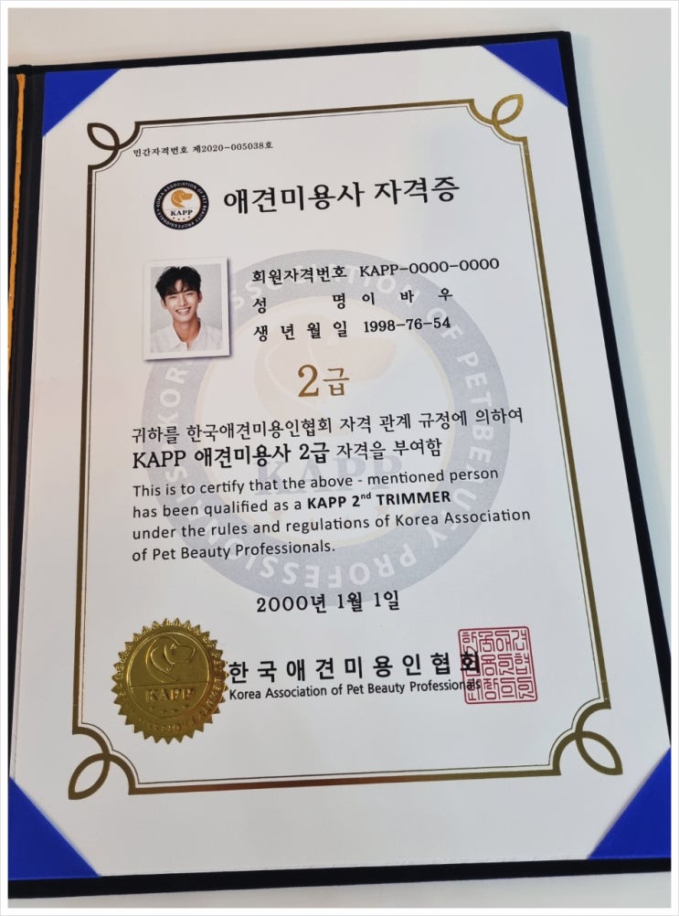  애견미용자격증 이것만으론 취업,창업이 불가능합니다