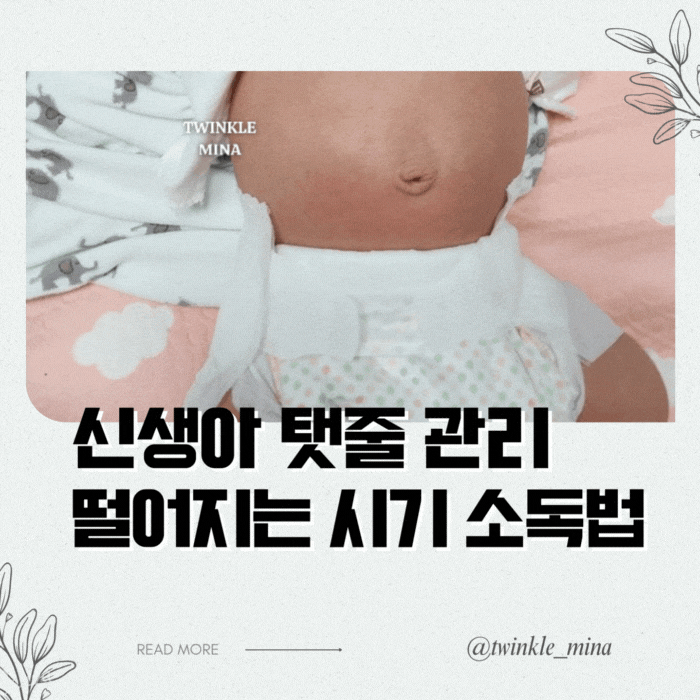  신생아 탯줄 관리 제대 탈락 시기와 소독 방법