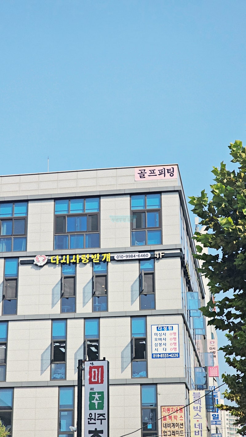 사진 2