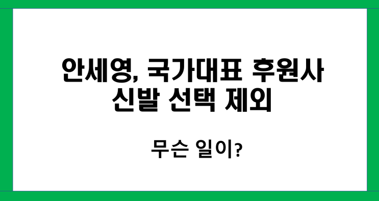 <b>안세영</b>, 국가대표 <b>후원사</b> 신발 선택 제외, 무슨 일이?