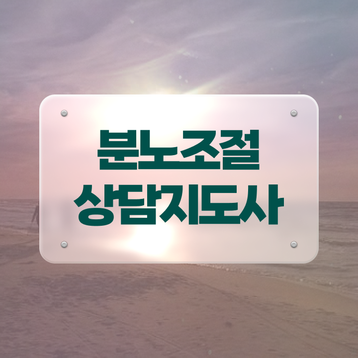  선택적 분노조절장애 분노조절상담지도사 20일 만에 취득한 방법