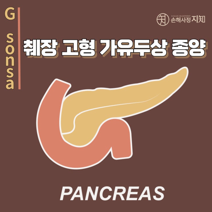  췌장 고형 가유두상 종양(SPT) 진단비 청구 – 남양주 다산동에서 꼭 알아야 할 핵심 포인트
