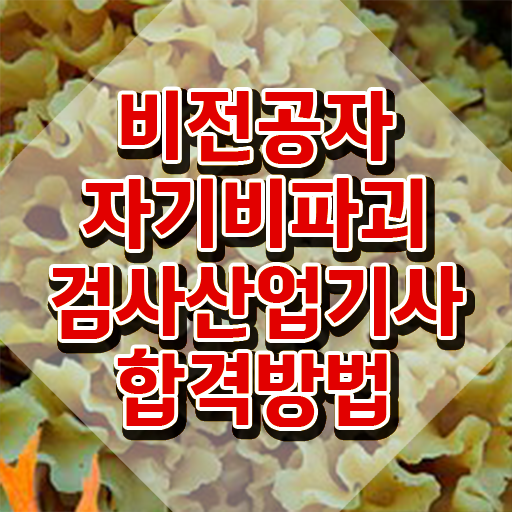  자기비파괴검사산업기사 시험응시조건 온라인 과정으로 간단하게 성공한 후기