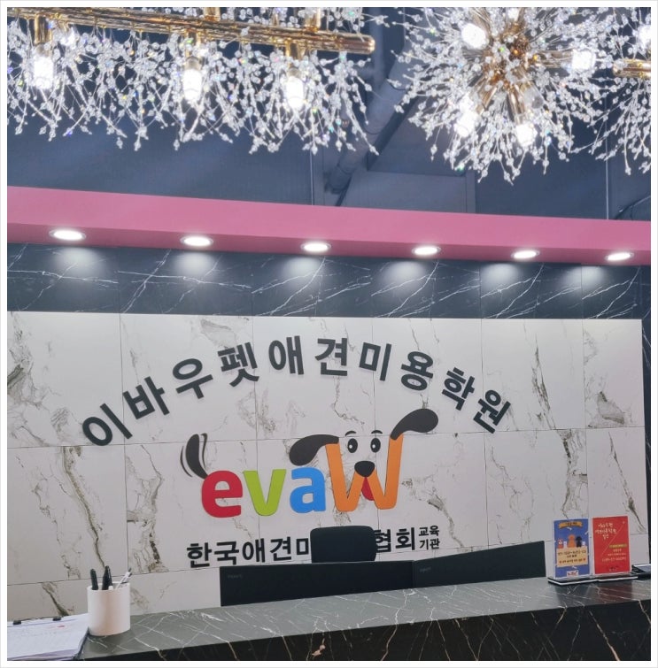  인천 펫미용학원 6개월만에 2급 취득한 방법(실무 준비)
