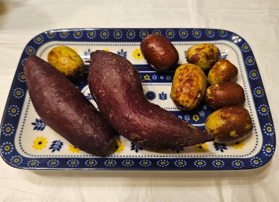 미가참치 사진 6