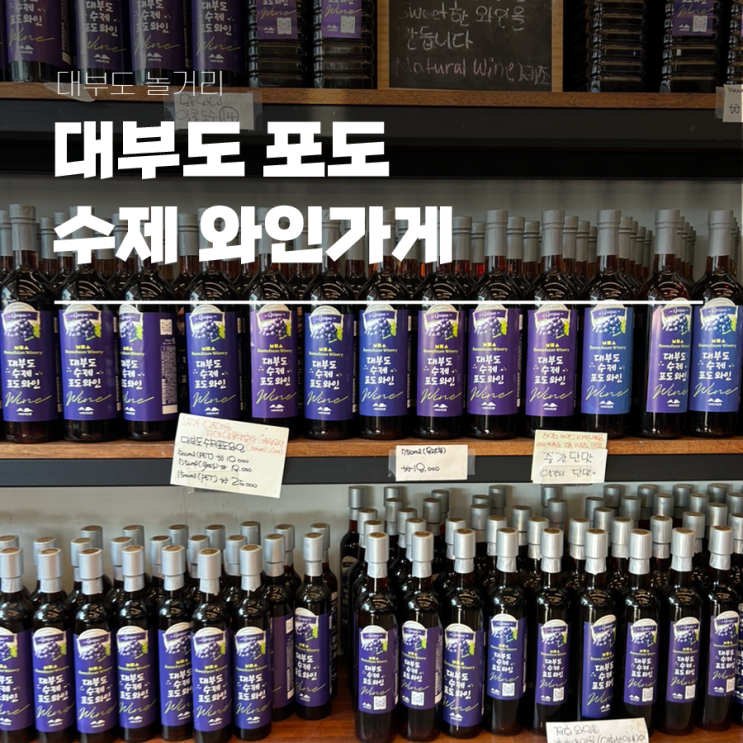  대부도 놀거리 대부도 포도로 만든 수제 와인 가게