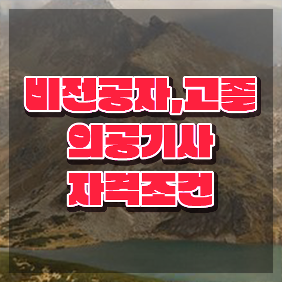  의공기사 총정리 의공기사 취득자격 독학으로 단기간에 완료한 전략