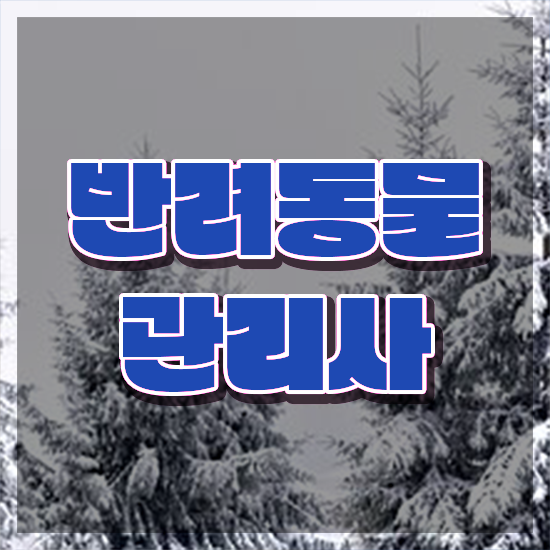  반려동물관리사 취업 , 반려동물관리사 자격증 1달 만에 취득한 과정 및 채용 정보