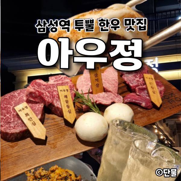  [서울/강남] 삼성역 구워주는 투뿔 한우 맛집 : 아우정