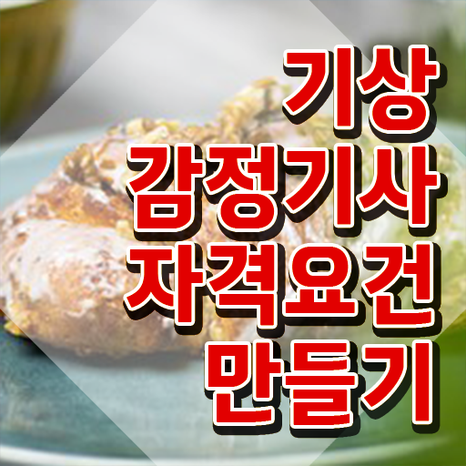  기상감정기사 응시조건 인강만 듣고 단기간에 성공한 비법
