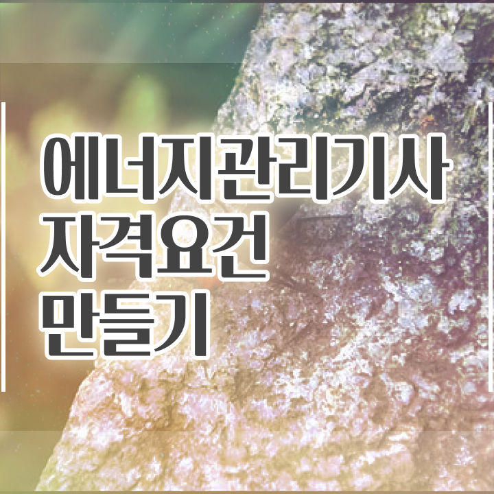  에너지관리기사 인강 , 에너지관리기사 취득자격 학점은행제로 간편하게 완료한 팁