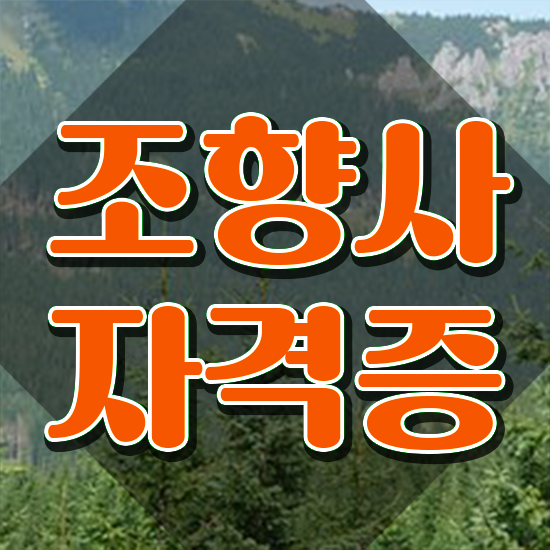  조향사 되는법 , 조향사자격증 20일 만에 합격 전략