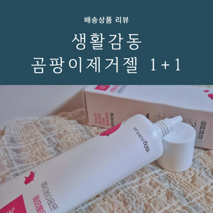 욕실 타일곰팡이제거 방법 생활감동 곰팡이제거젤 사용후기 욕실 타일곰팡이제거 방법 생활감동 곰팡이제거젤 사용후기