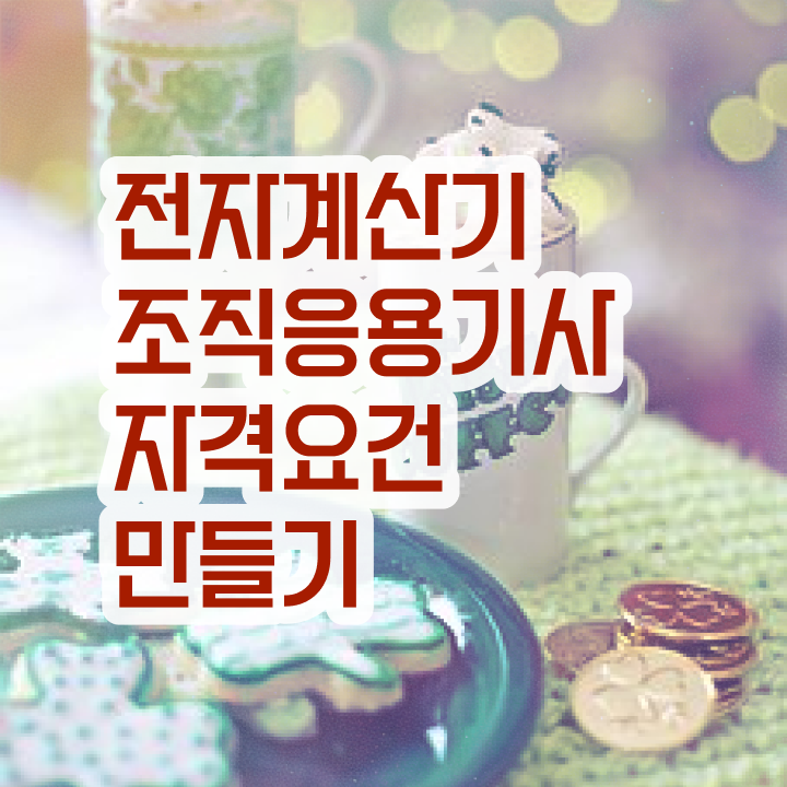  전자계산기조직응용기사 신청 전자계산기조직응용기사 응시자격 인강으로 단기간에 준비한 과정