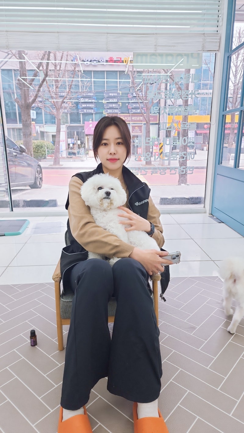 사진 8