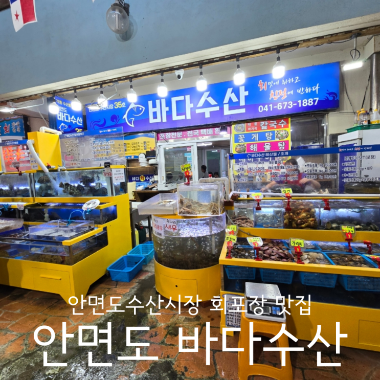 충남 태안 회포장 맛집 안면도수산시장 35호 바다수산
