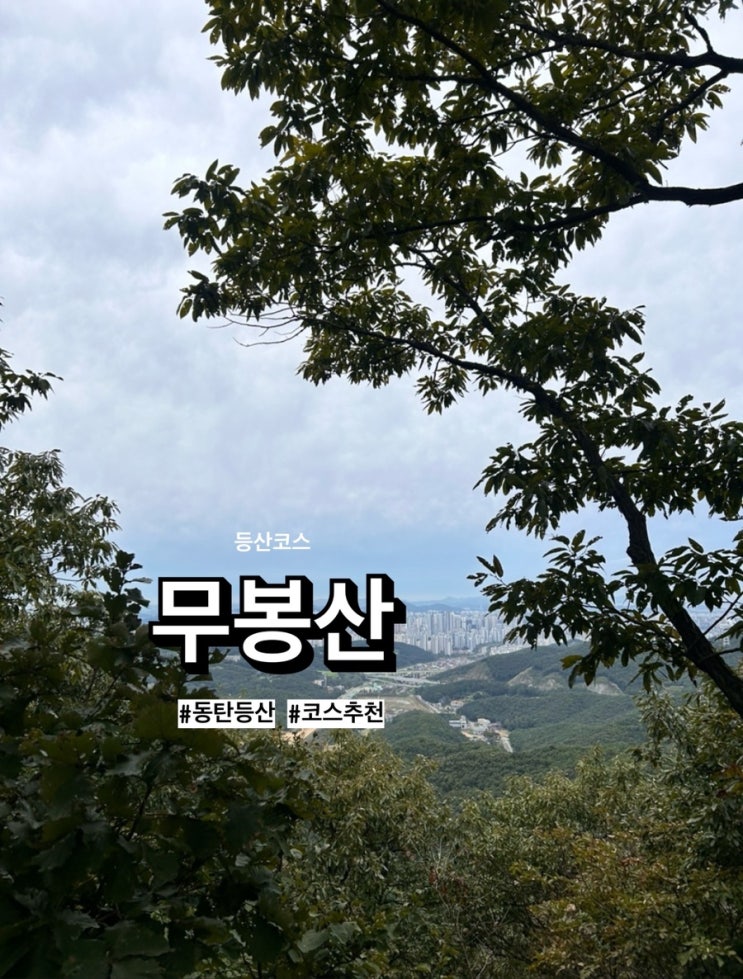  무봉산 등산코스 'D코스’ / 무봉산 주차, 왕복 1시간 뿌시기