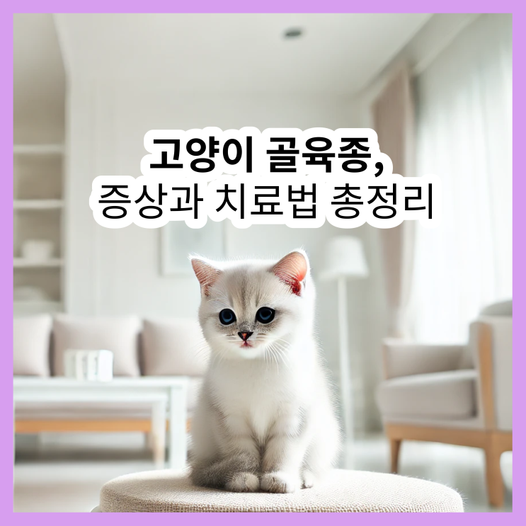  고양이 골육종 증상과 치료, 가장 효과적인 방법은?