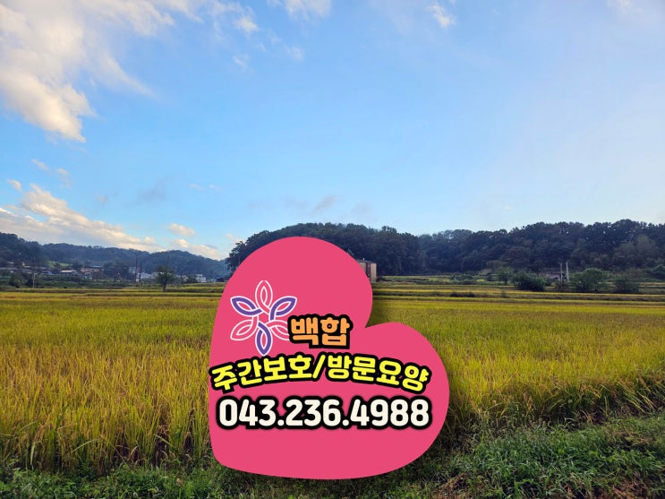  청주주간보호센터, 재가보호 센터 : 신나는 노래로 어르신들 활력 충전, 고구마 수확 미술 활동까지