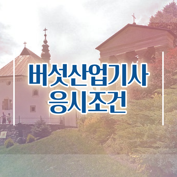  버섯산업기사 시험응시조건 집에서 온라인으로 간편하게 성공한 팁