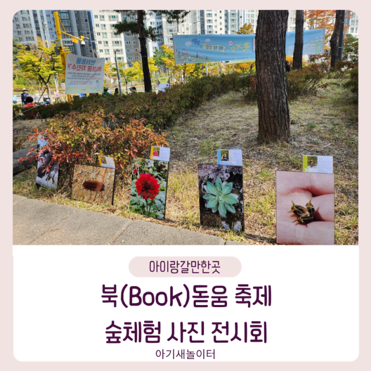  길빛도서관 '북(Book)돋움 축제' 숲체험 사진전