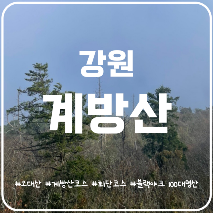 오대산 계방산코스 최단코스 운두령 원점회귀 오대산 계방산코스 최단코스 운두령 원점회귀