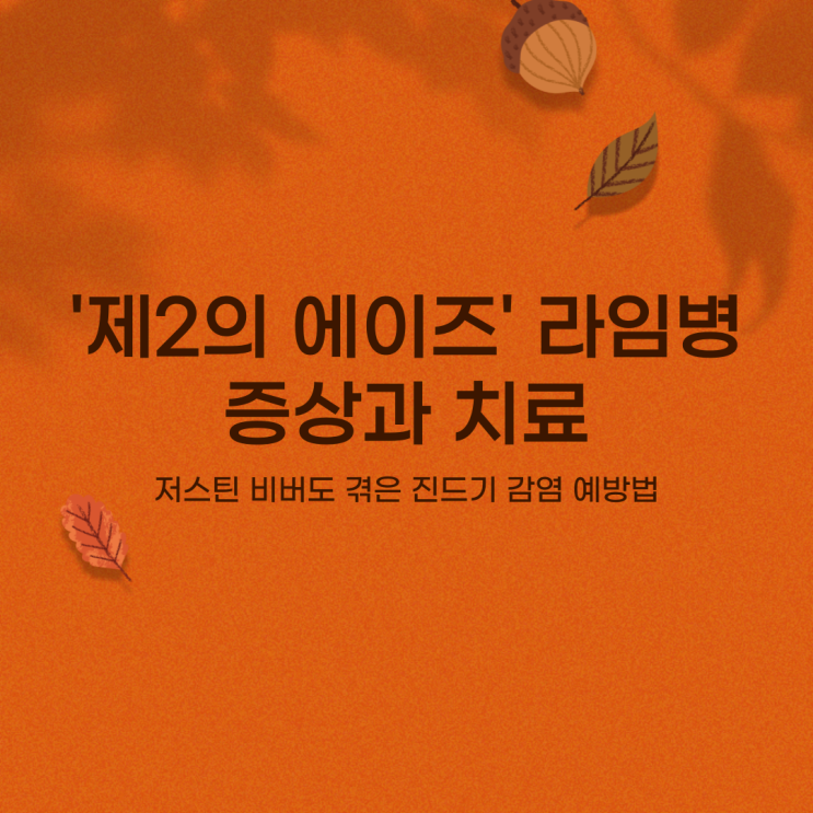  '제2의 에이즈' 라임병 증상과 치료: 저스틴 비버도 겪은 진드기 감염 예방법