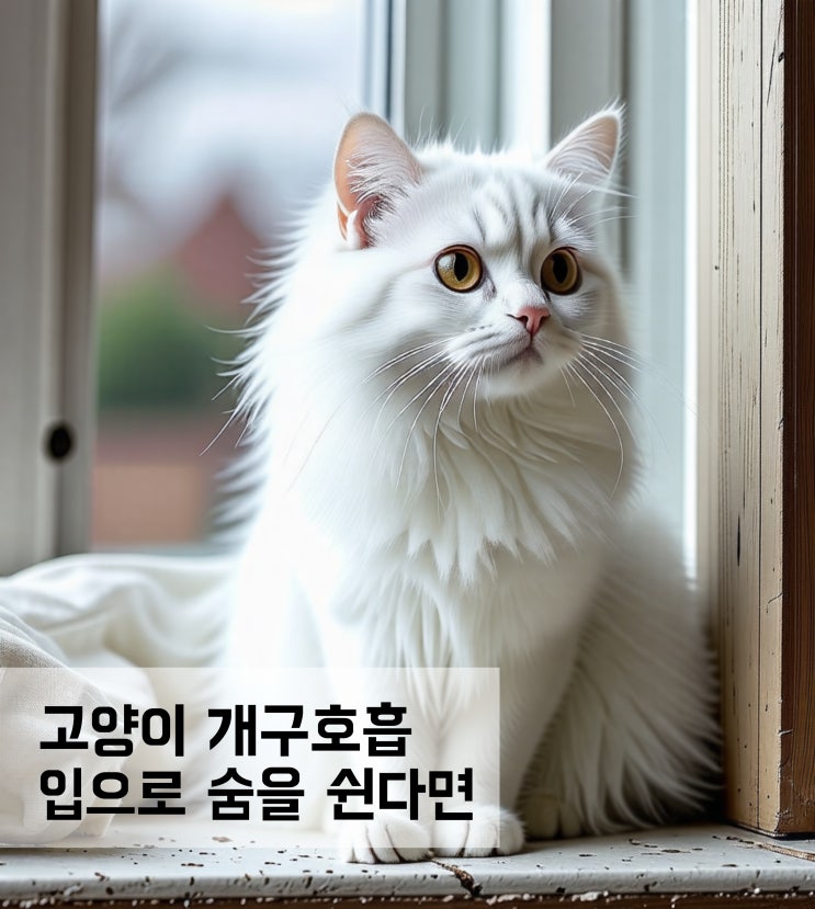  고양이 개구호흡 입으로 숨을 쉬고 있다면