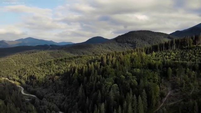 성남피부미용학원 , 피부미용교육지도사 자격증 한달 만에 합격한 비법 요약