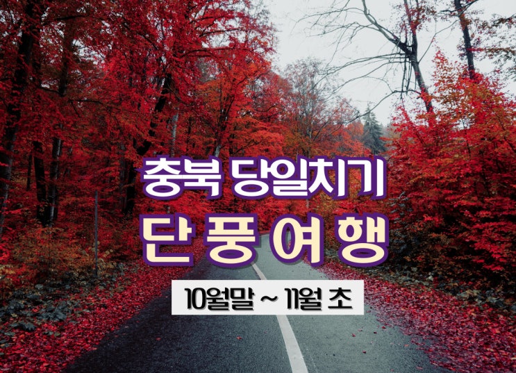  충북 당일치기 단풍여행