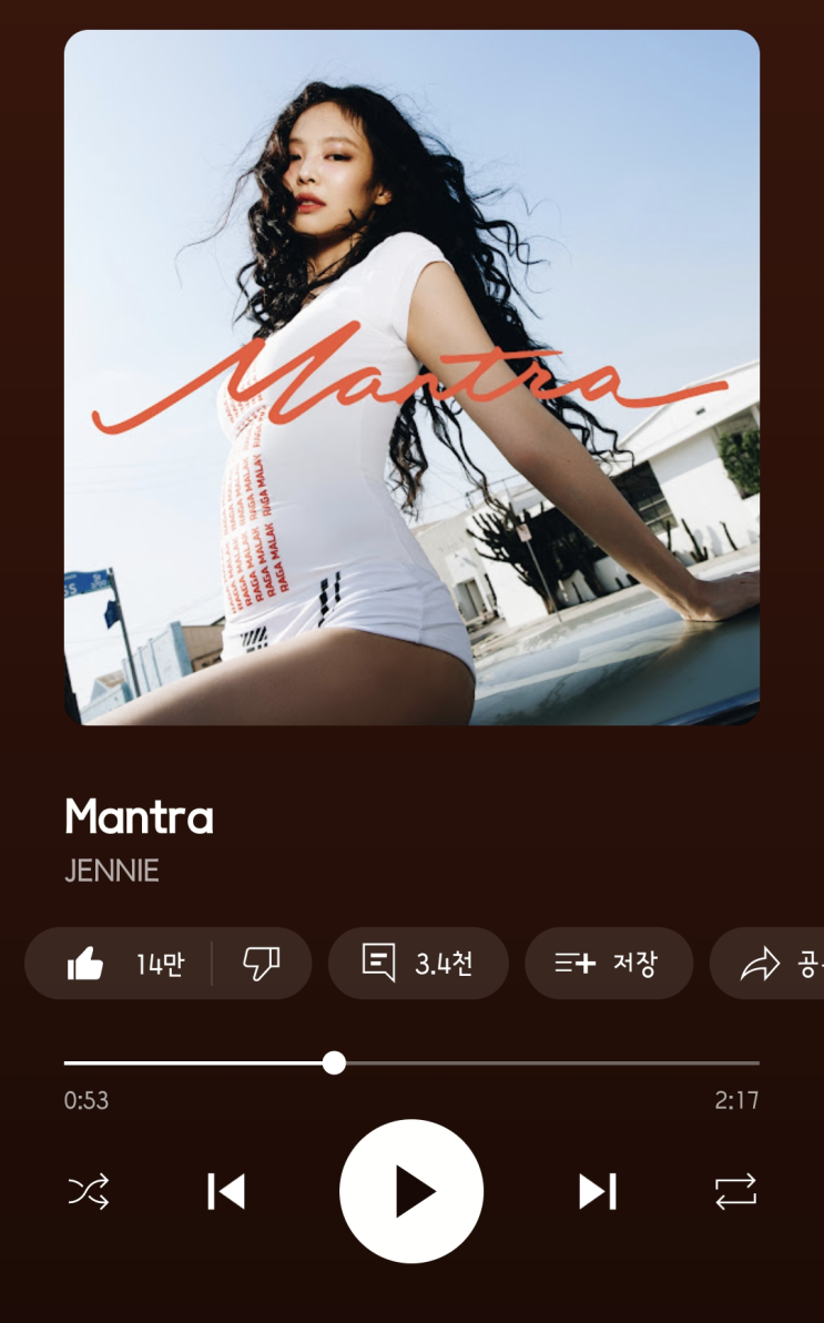  [일상기록] 승무원비빔밥/브이빔 퍼펙타/물광주사/쿠팡이츠/제니 만트라