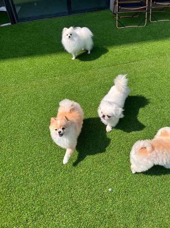 사진 3