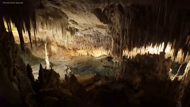  산림 기사교재 , 산림기사 시험자격 인강만 듣고 빠르게 완료한 노하우