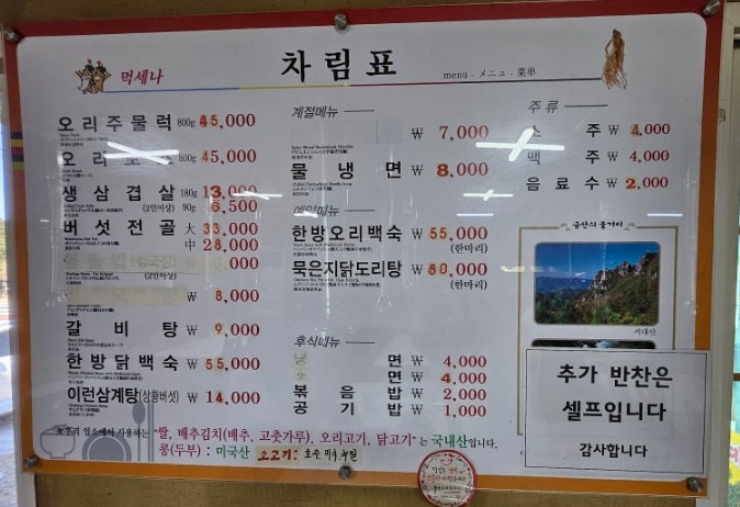 먹세나 사진 4