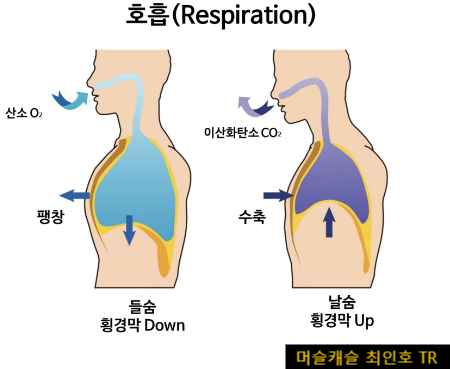  오산PT 운동의 기초는 코어운동부터!