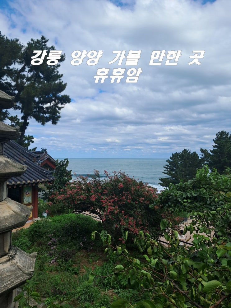  강원도 양양군 추천 여행지 휴휴암사찰 바다와 황어떼 구경